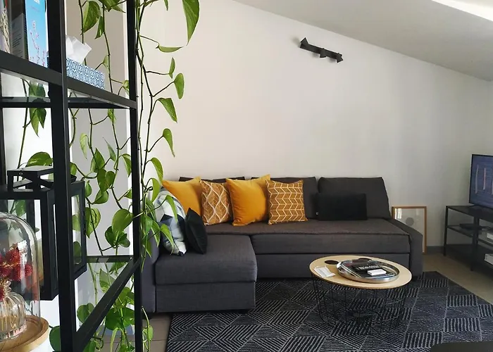 Charming Duplex With Terrace Historical City Center