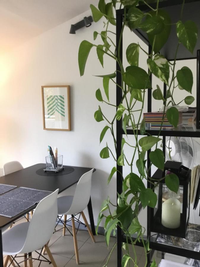 Charming Duplex With Terrace Historical Center *